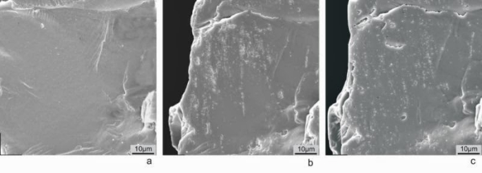 Imatges al microscopi electrònic de rastreig de la vora d'una eina de quarsita utilitzada experimentalment per a tallar fusta. Andreu Ollé/IPHES