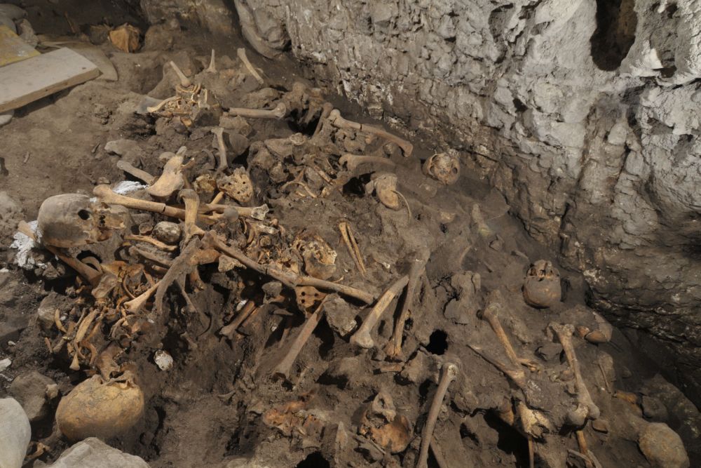 hominids-mirador-jm-p